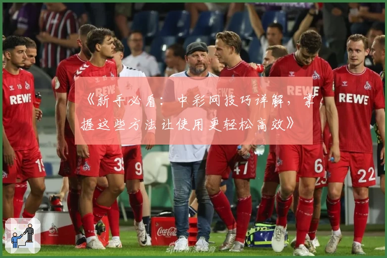 《新手必看：中彩网技巧详解，掌握这些方法让使用更轻松高效》