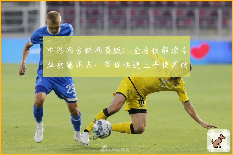 中彩网分析网页版：全方位解读专业功能亮点，带你快速上手使用新手指南