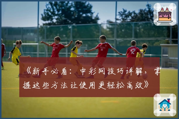 《新手必看：中彩网技巧详解，掌握这些方法让使用更轻松高效》