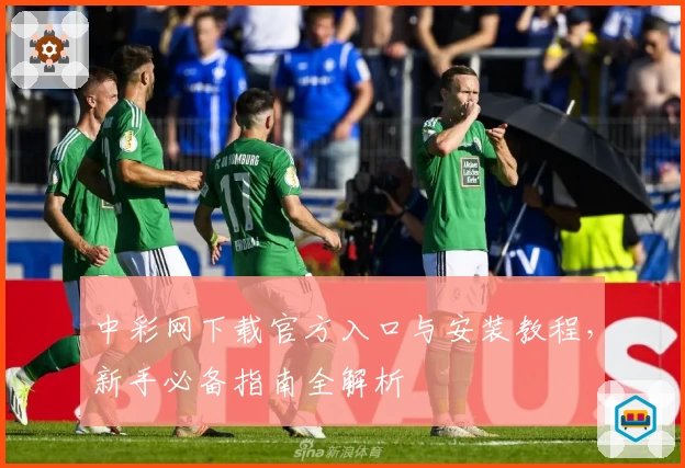 中彩网下载官方入口与安装教程，新手必备指南全解析